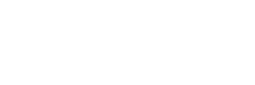 cropped cronos paginas web para empresas.png